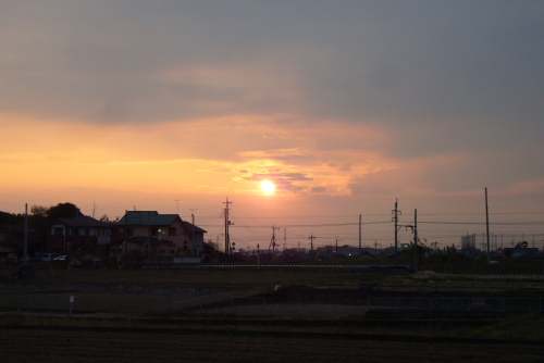夕陽-1.JPG