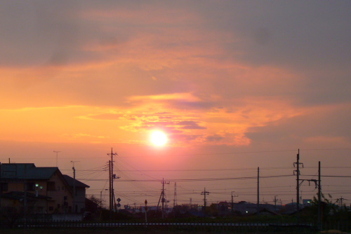 夕陽-2.JPG