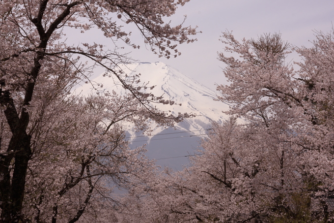 富士山-2.JPG