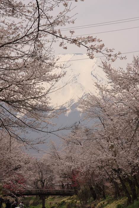 富士山-4.JPG