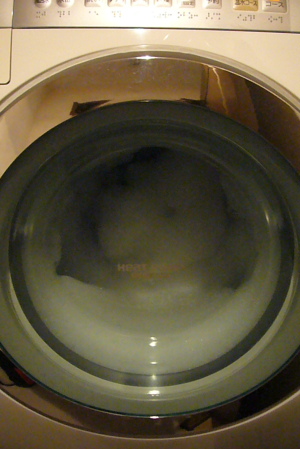 洗濯-2.JPG